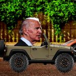 Biden Weelie